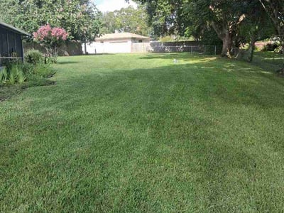 Lawn Care service in Lady Lake, 32159