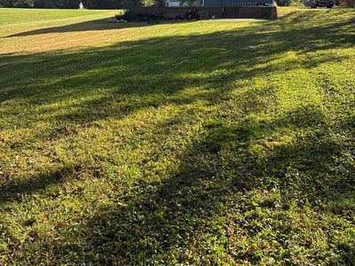 Lawn Care service in Hastings, 55033