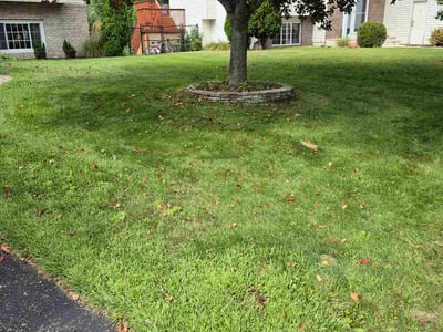 Lawn Care service in Forest Lake, 55025