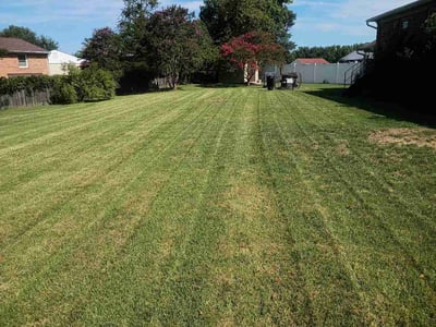 Lawn Care service in Temple Hills, 20748