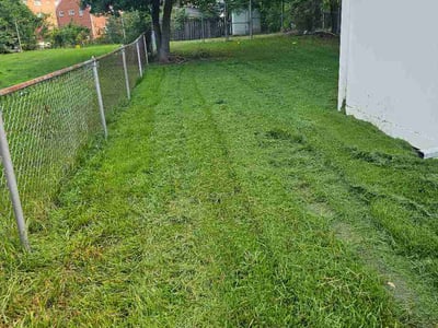 Lawn Care service in Temple Hills, 20748