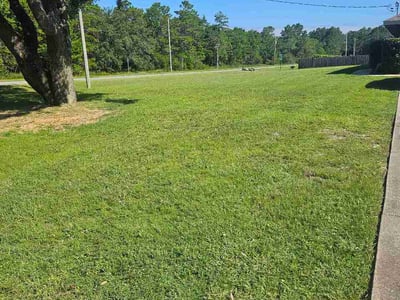 Lawn Care service in Navarre, 32566