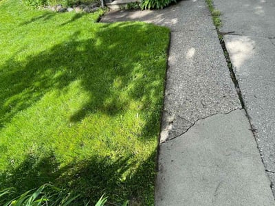 Lawn Care service in Madison Heights, 48071
