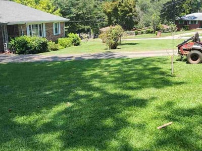 Lawn Care service in Millbury, 01527
