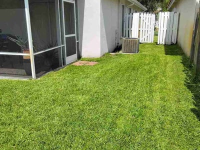 Lawn Care service in Fort Lauderdale, 33301