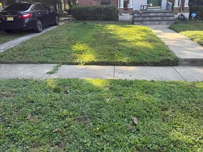 Lawn Care service in Trenton, 08608