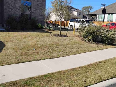 Lawn Care service in Millbury, 01527