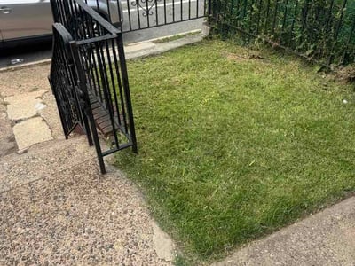 Lawn Care service in Aston, 19014