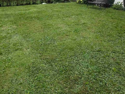 Lawn Care service in Trenton, 08608