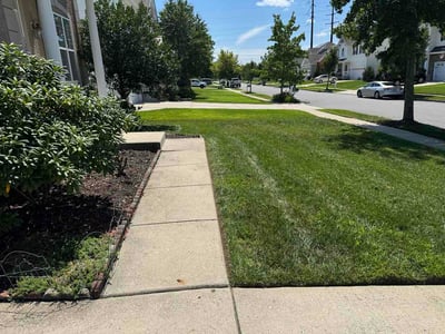 Lawn Care service in Atlantic City, 08401