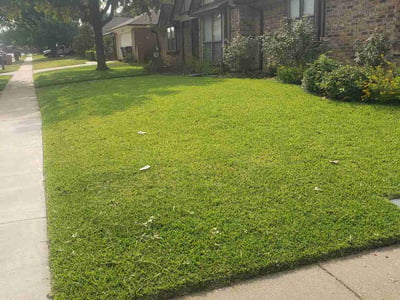 Lawn Care service in Saginaw, 76179