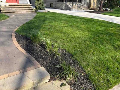 Lawn Care service in Grand Rapids, 49503