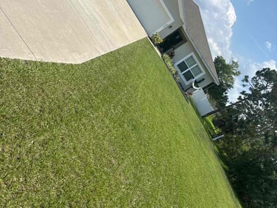 Lawn Care service in Ocoee, 34761