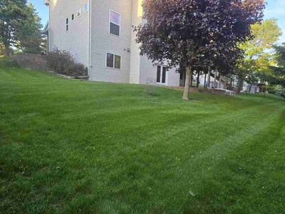 Lawn Care service in St Louis Park, 55426