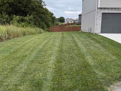 Lawn Care service in Belton, 64012