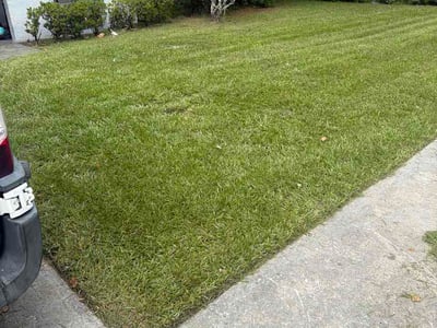 Lawn Care service in Maitland, 32751