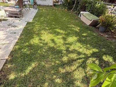 Lawn Care service in Boynton Beach, 33426