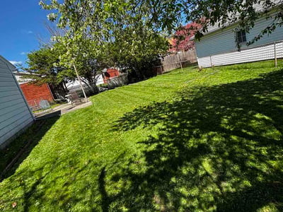 Lawn Care service in Perrysburg, 43551