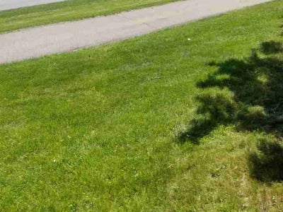Lawn Care service in Rochester Hills, 48307