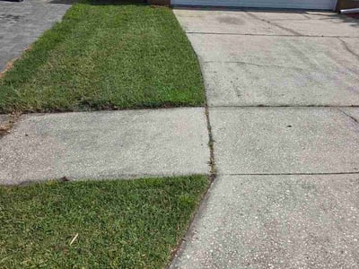Lawn Care service in Tavares, 32778