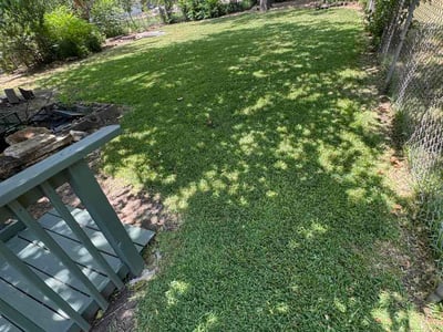 Lawn Care service in Forest Hill, 76140