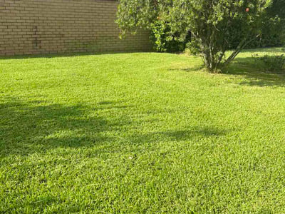 Lawn Care service in St Cloud, 34769