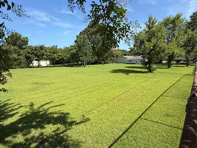 Lawn Care service in Jacksonville, 28540