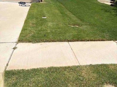Lawn Care service in Flower Mound, 75022