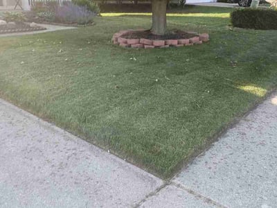Lawn Care service in Auburn Hills, 48326