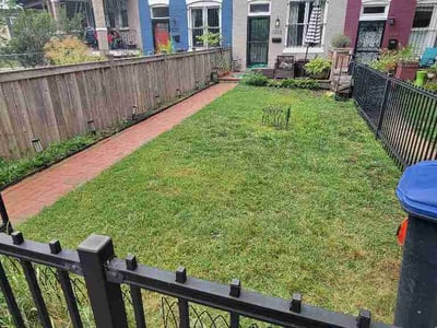 Lawn Care service in Washington, 20036