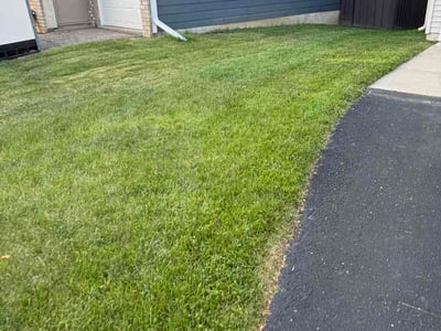 Lawn Care service in Brooklyn Center, 55429