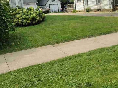 Lawn Care service in Normal, 61761