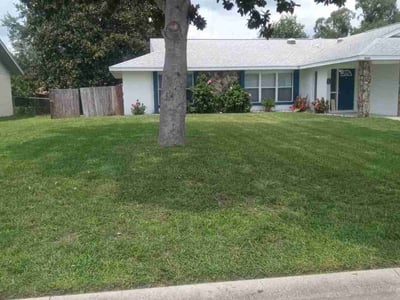 Lawn Care service in Inverness, 34452