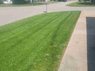 Lawn Care service in Bloomington, 61701