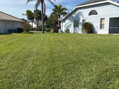 Lawn Care service in Fort Myers, 33901
