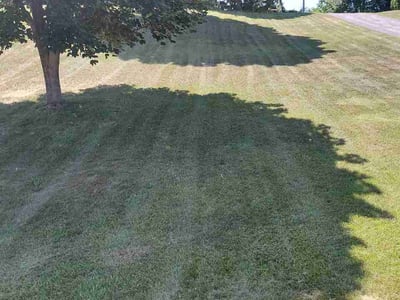 Lawn Care service in Traverse City, 49684