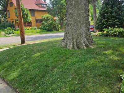 Lawn Care service in Richfield, 55423