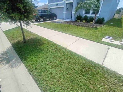 Lawn Care service in Groveland, 34736
