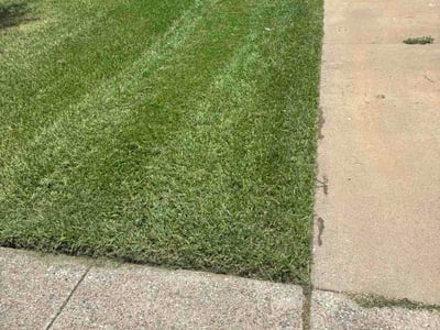 Lawn Care service in Colleyville, 76034