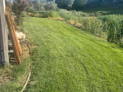 Lawn Care service in Riverton, 84065
