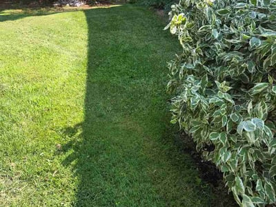 Lawn Care service in Woodbury, 55125
