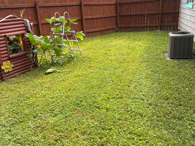 Lawn Care service in Riverton, 84065