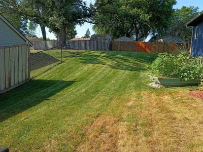 Lawn Care service in Burnsville, 55337