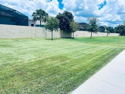Lawn Care service in Conway, 32812