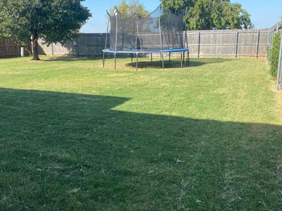 Lawn Care service in Moore, 73160