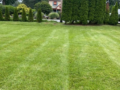 Lawn Care service in Lancaster, 17602