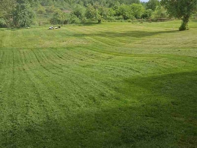 Lawn Care service in Utica, 13501