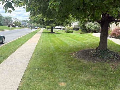 Lawn Care service in Lancaster, 17602