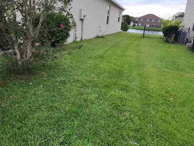 Lawn Care service in Jacksonville, 32202