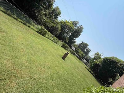Lawn Care service in Wagoner, 74467